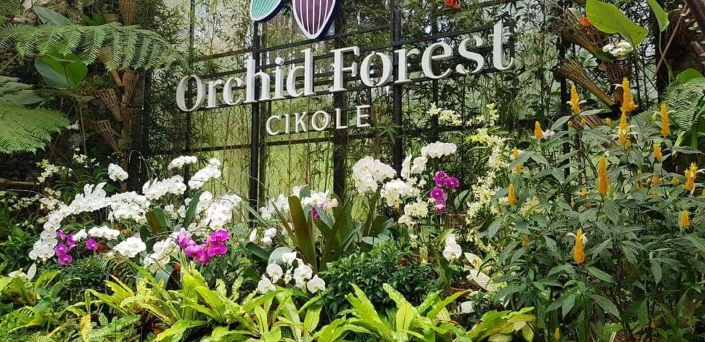 Orchid Forest Cikole